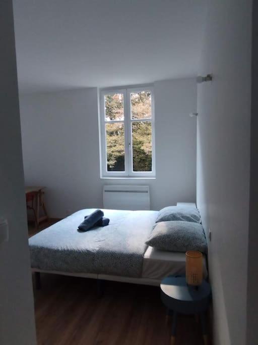 Apartamento Le Grand Montjoux Besanzón Exterior foto