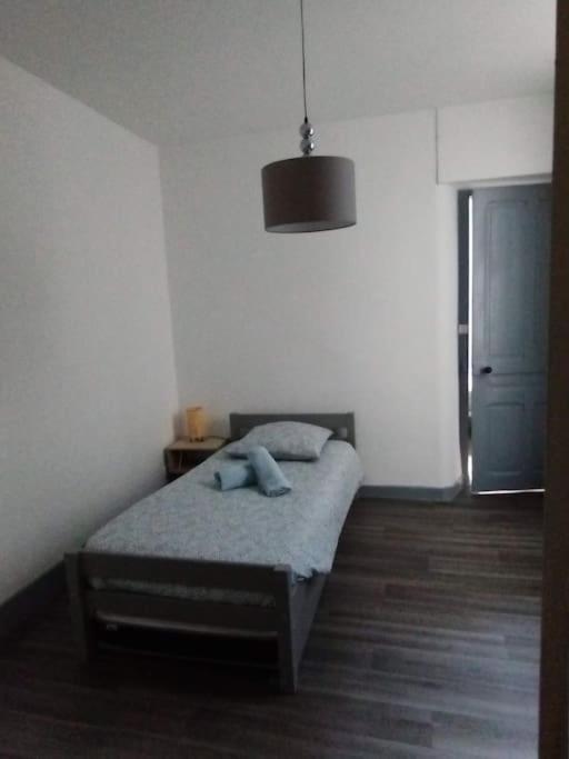 Apartamento Le Grand Montjoux Besanzón Exterior foto